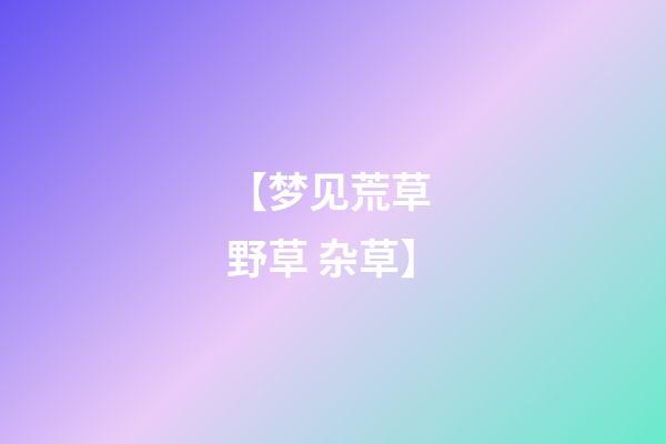 【梦见荒草 野草 杂草】